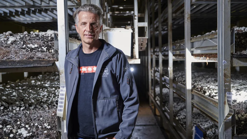 L’Aiglon Cédric Stadler, président des producteurs suisses de champignons de culture, appelle à une régulation du marché pour soutenir la branche face à la concurrence étrangère.