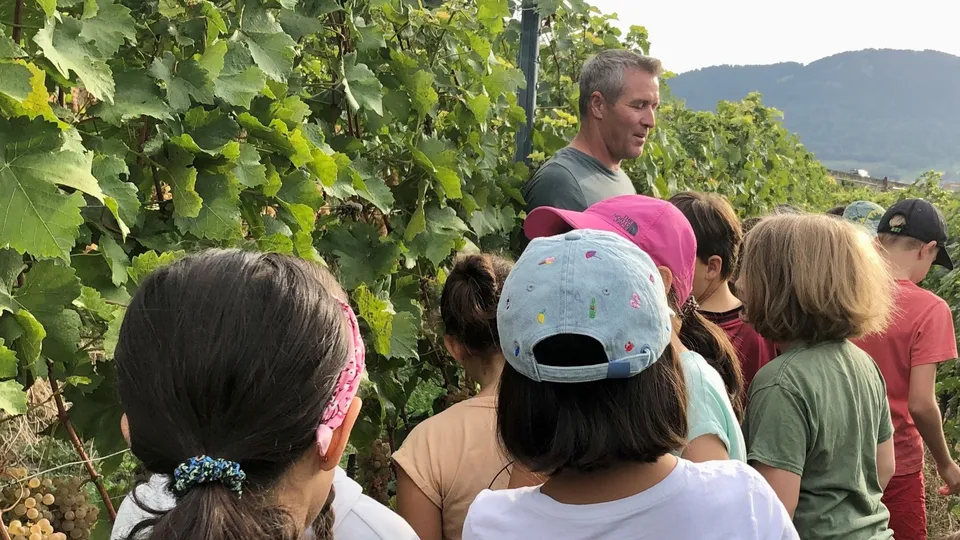 Les questions ont fusé lors de cette matinée en compagnie du vigneron-tâcheron Marc Taverney.
