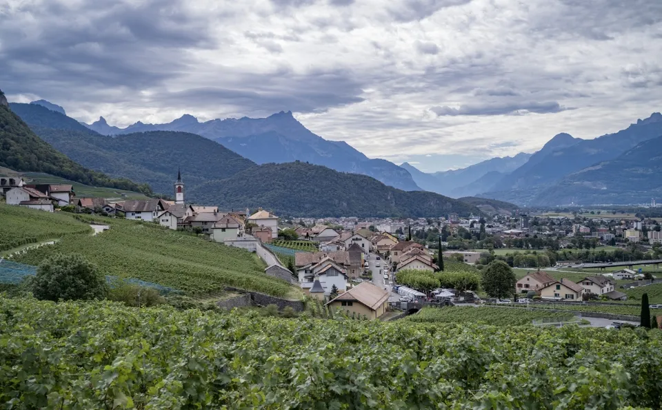 Déguster le vignoble diurne — photo 1