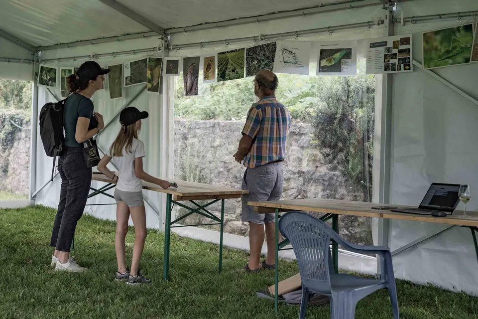 Déguster le vignoble diurne — photo 3