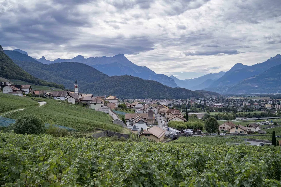Déguster le vignoble diurne — photo 4