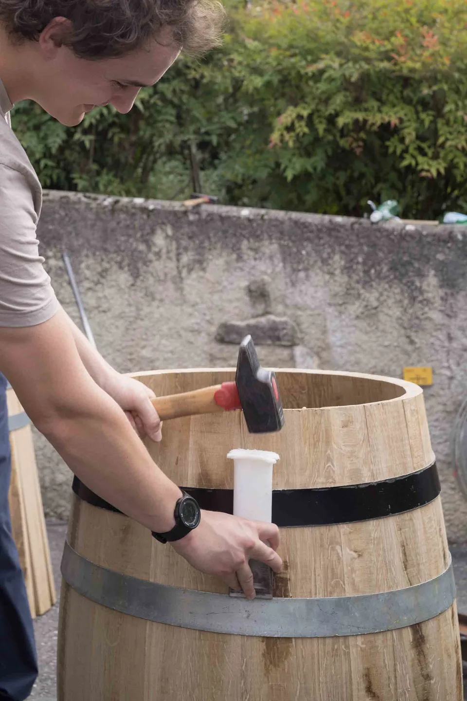 Déguster le vignoble diurne — photo 9
