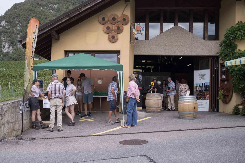 Déguster le vignoble diurne — photo 10