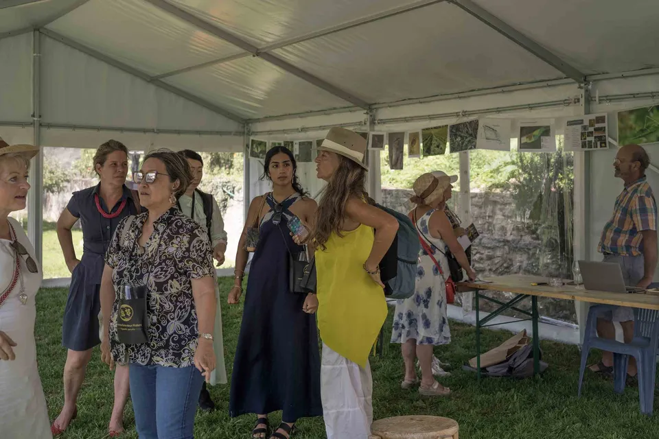 Déguster le vignoble diurne — photo 11