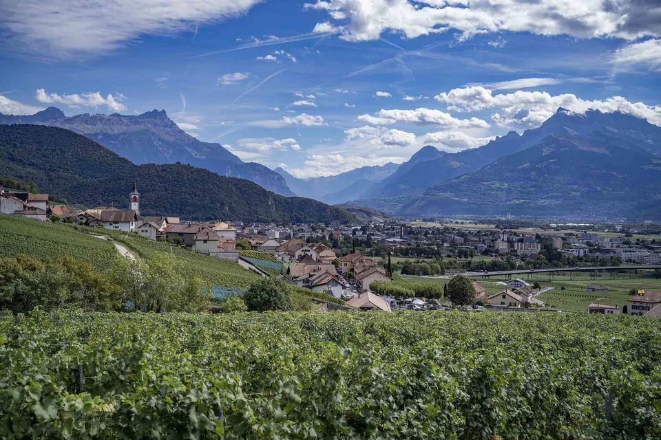 Déguster le vignoble diurne — photo 12