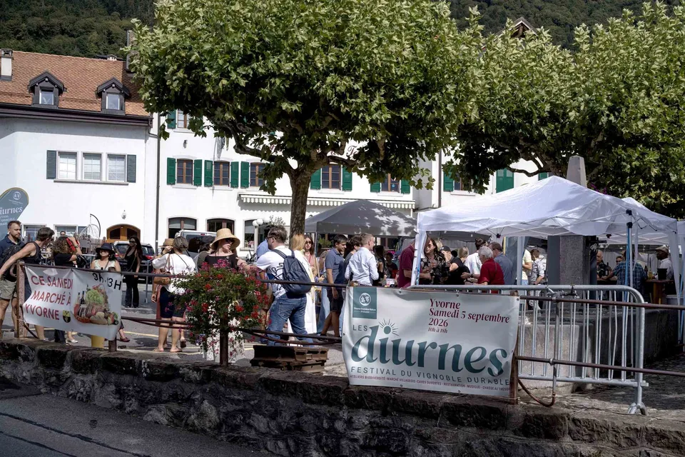 Déguster le vignoble diurne — photo 14